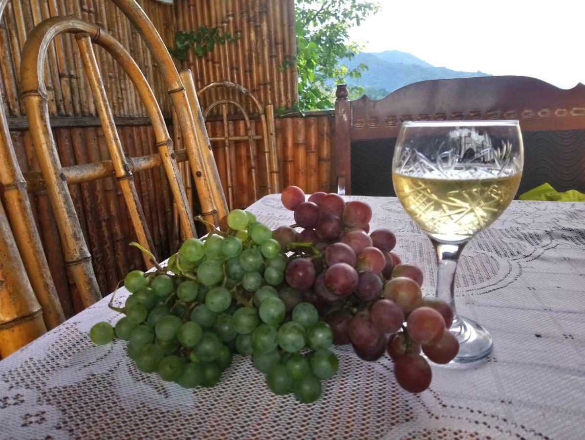 Guest House And Cellar Winery In Ortabatumi Batumi Georgia Exterior foto